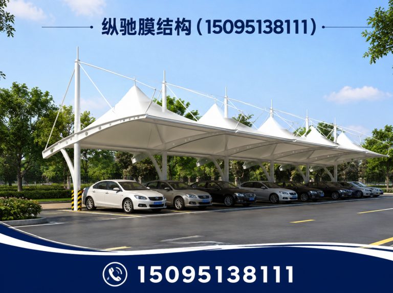 昌乐县膜结构车棚展示图